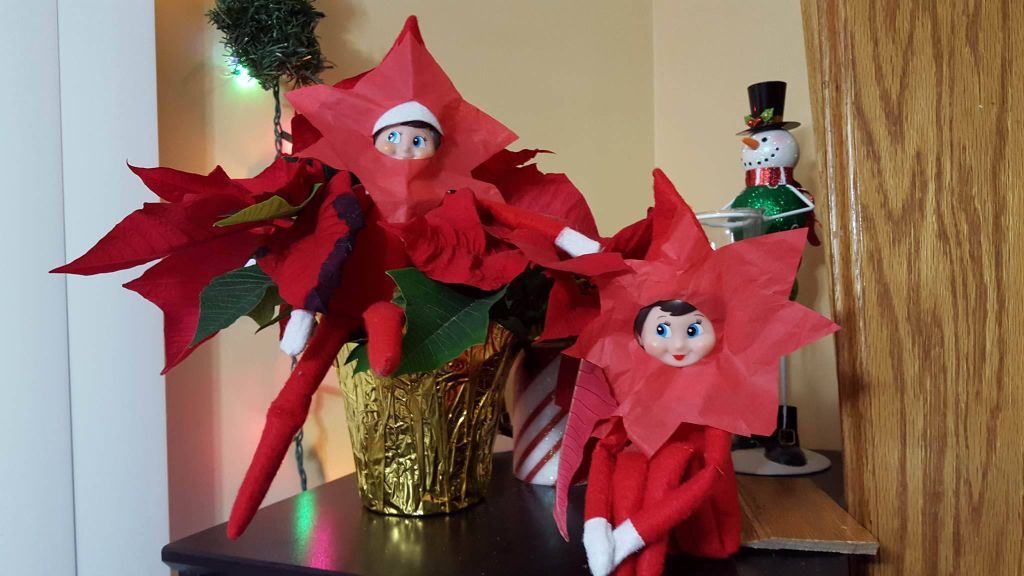 Elf